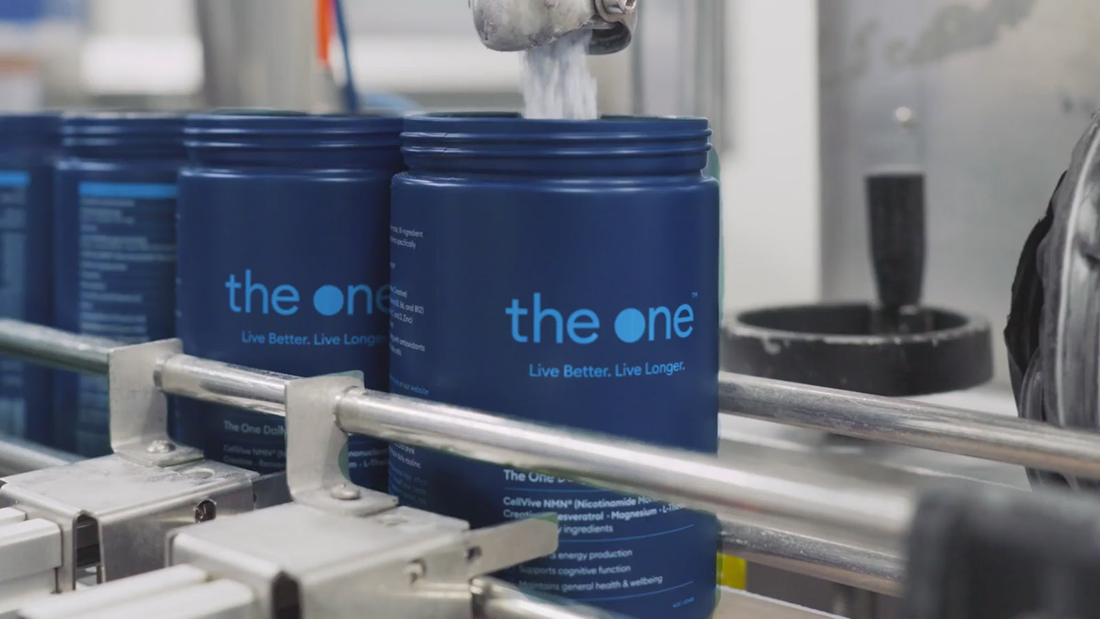 The One Longevity Supplement